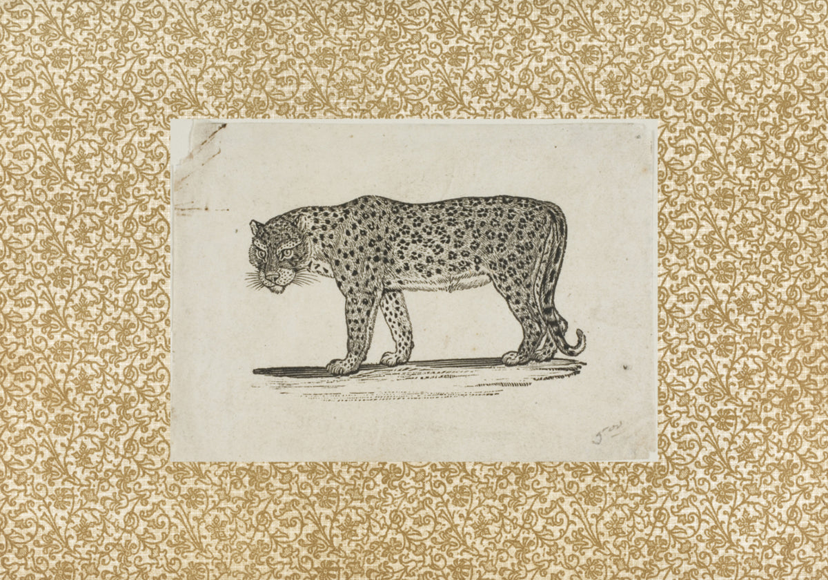 Esboço de leopardo vintage