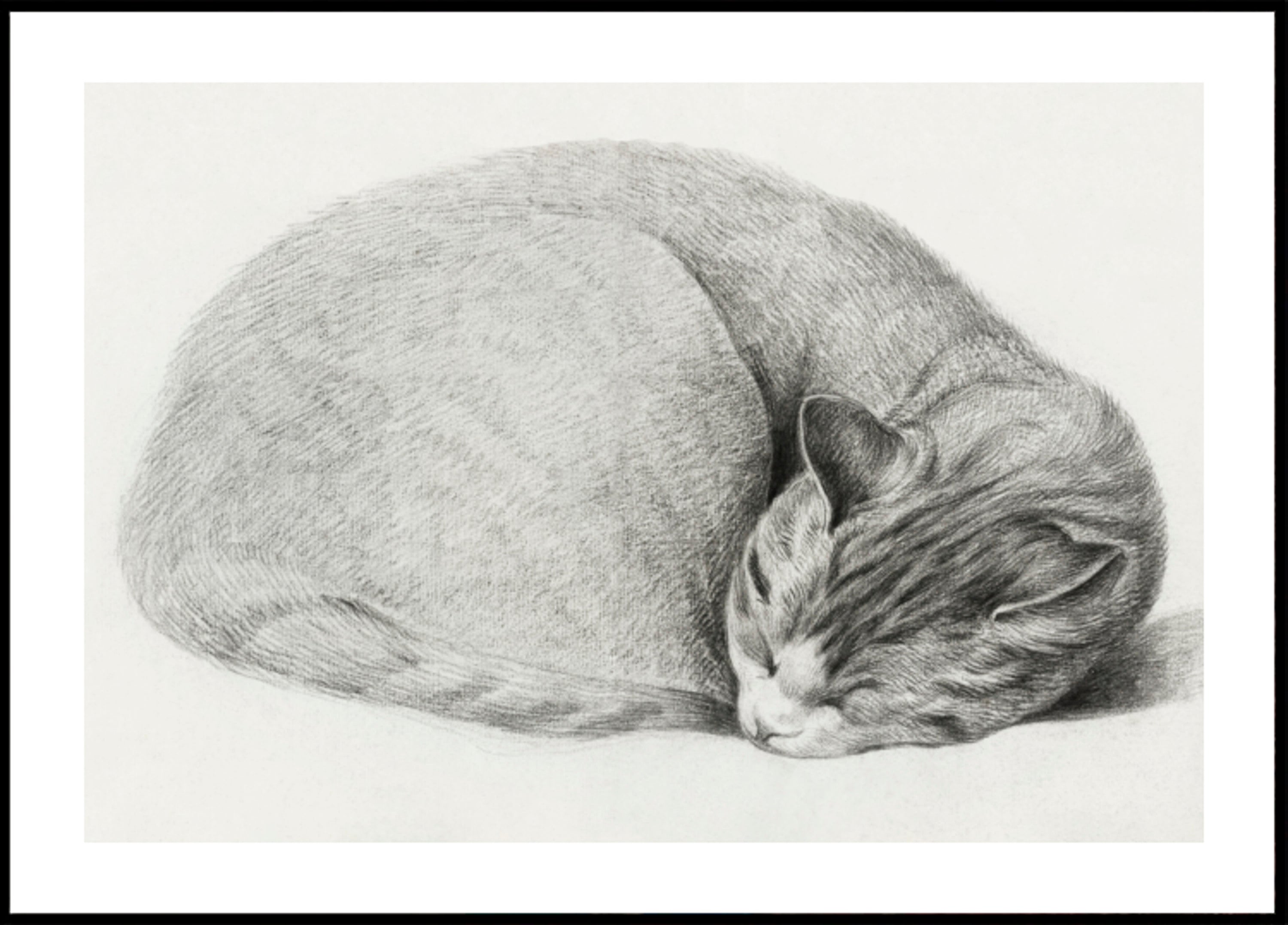 Enrolado, deitado, gato adormecido, de Jean Bernard (1775 1883)