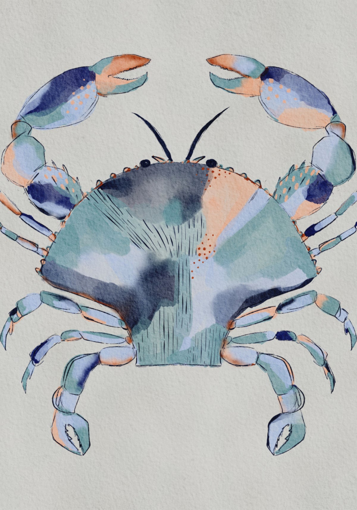 Pintura Costeira de Caranguejo Azul