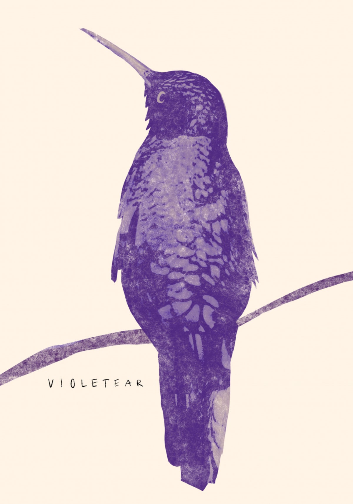 Beija-flor Violeta Elegante