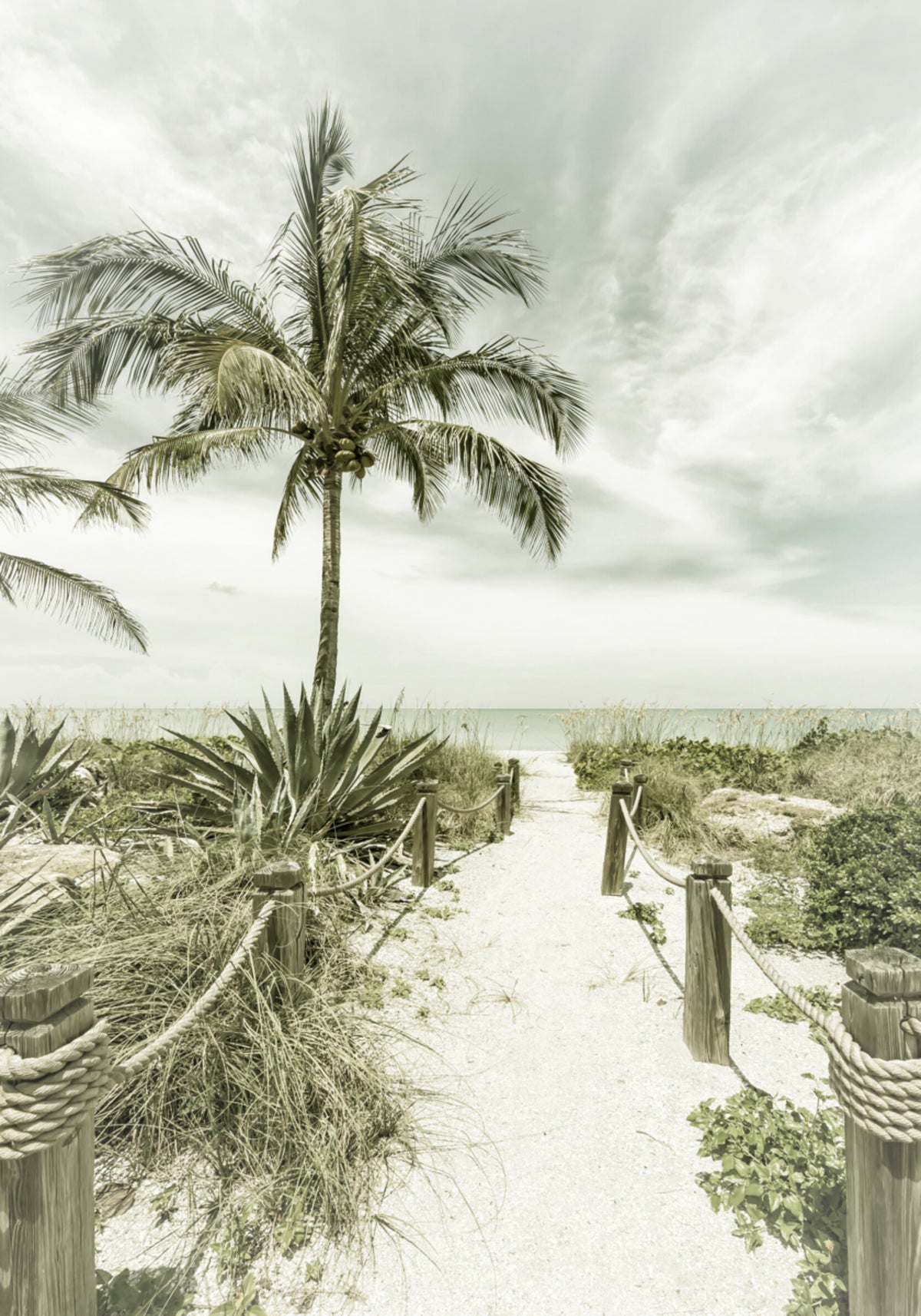 Caminho da praia tropical