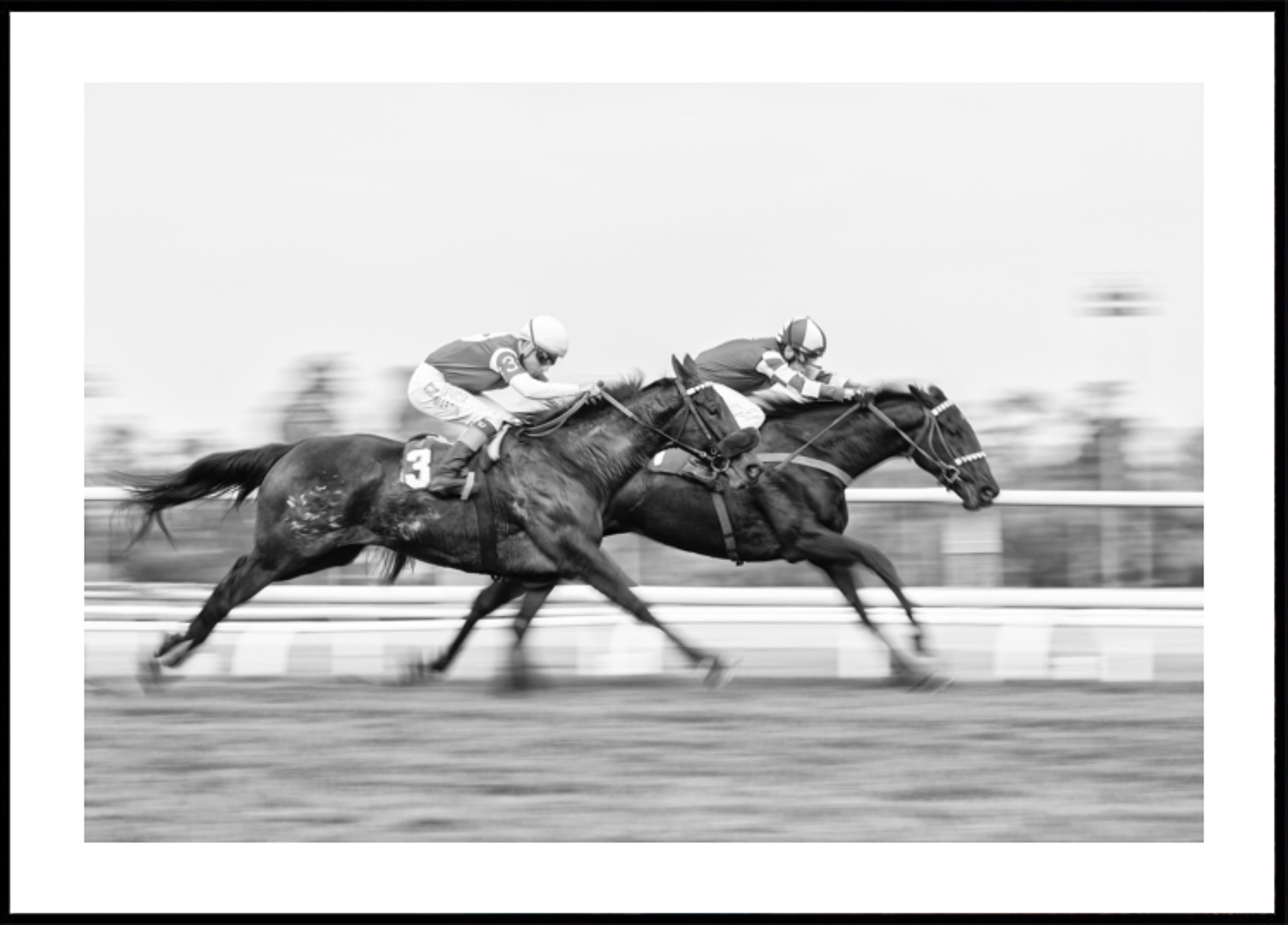 Corrida de Cavalos Dinâmica