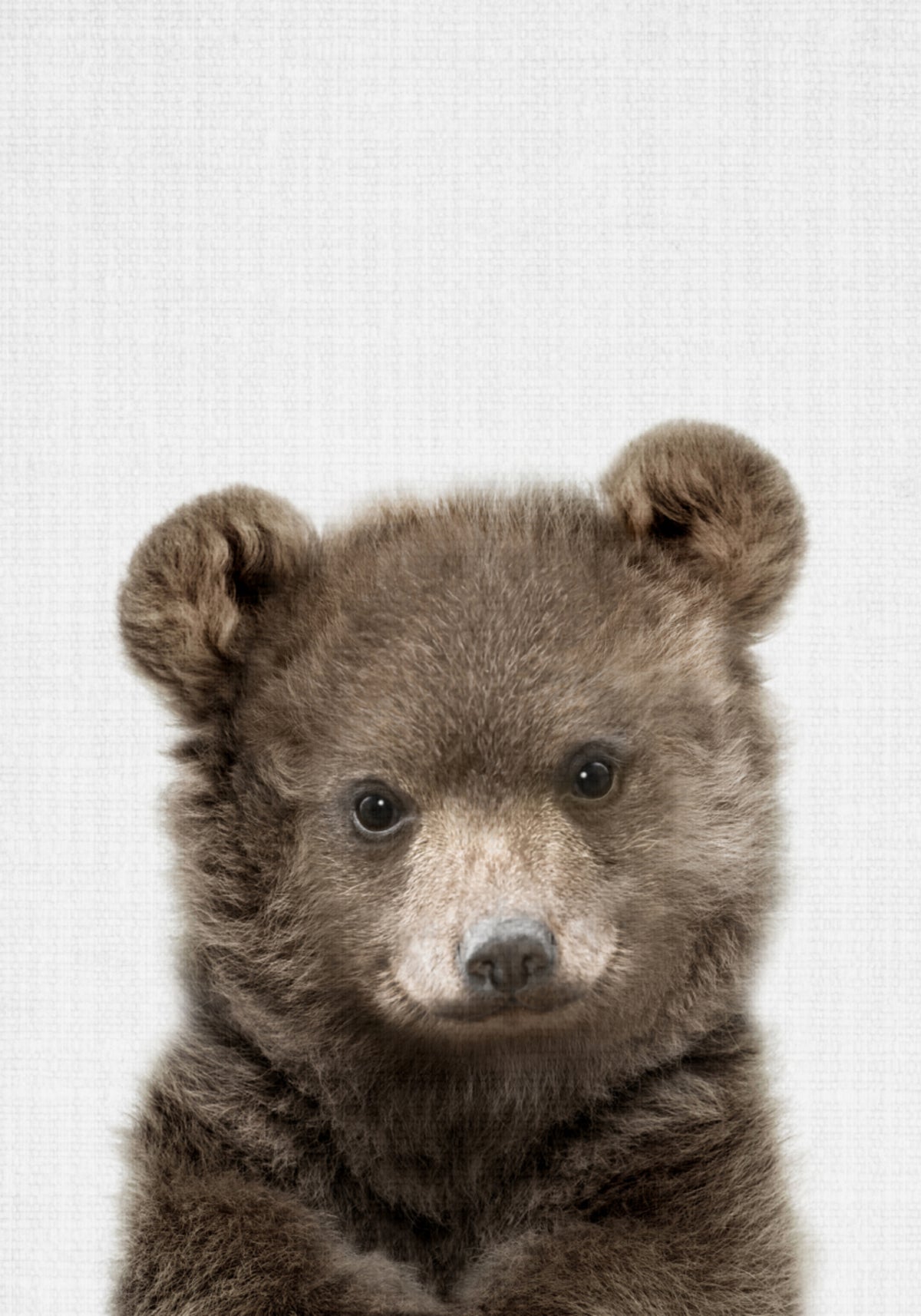 Filhote de urso fofo