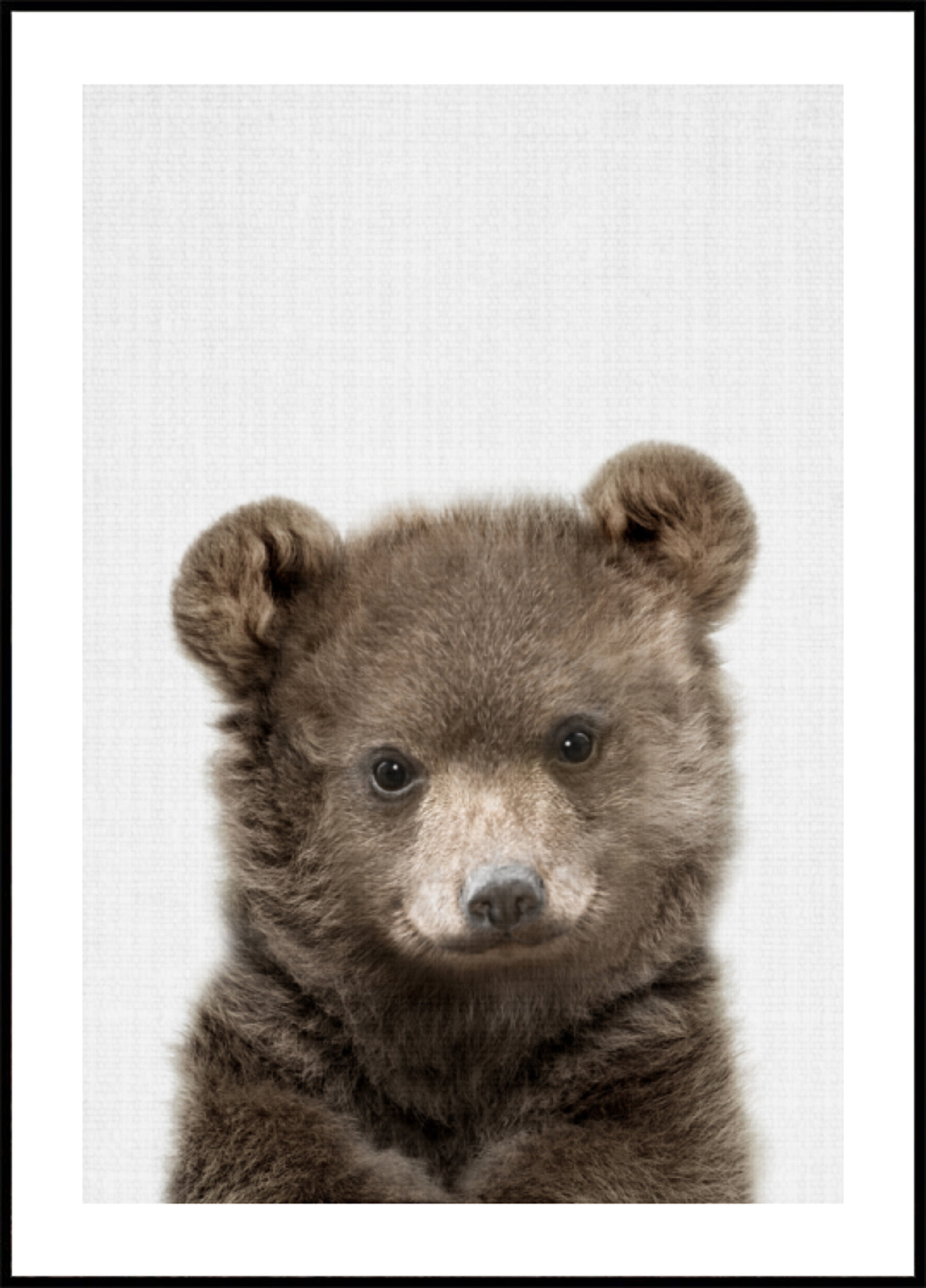 Filhote de urso fofo