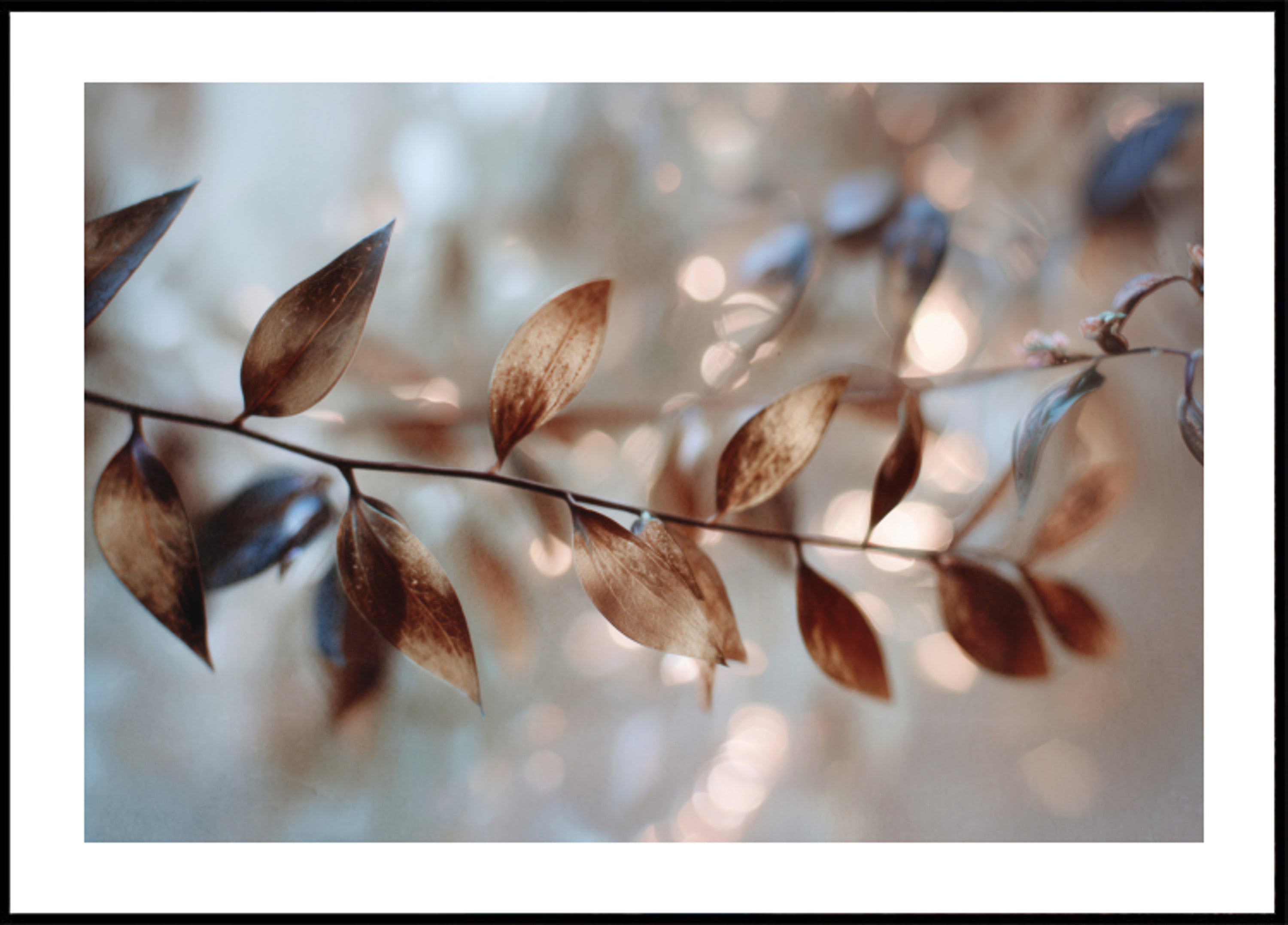 Folhas Bokeh Delicadas