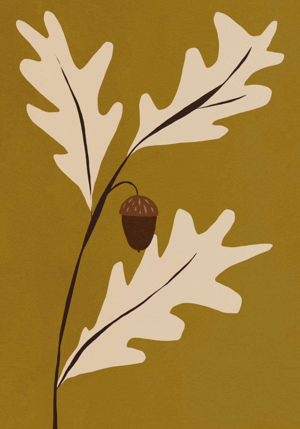 Bolota de Carvalho Dourado