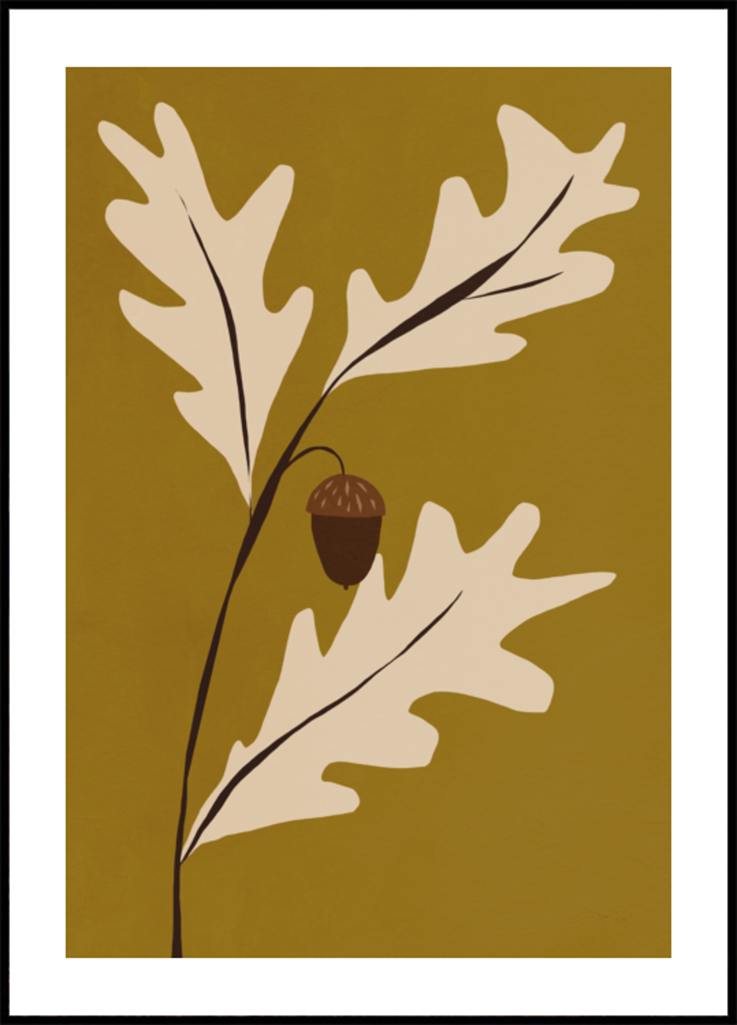 Bolota de Carvalho Dourado