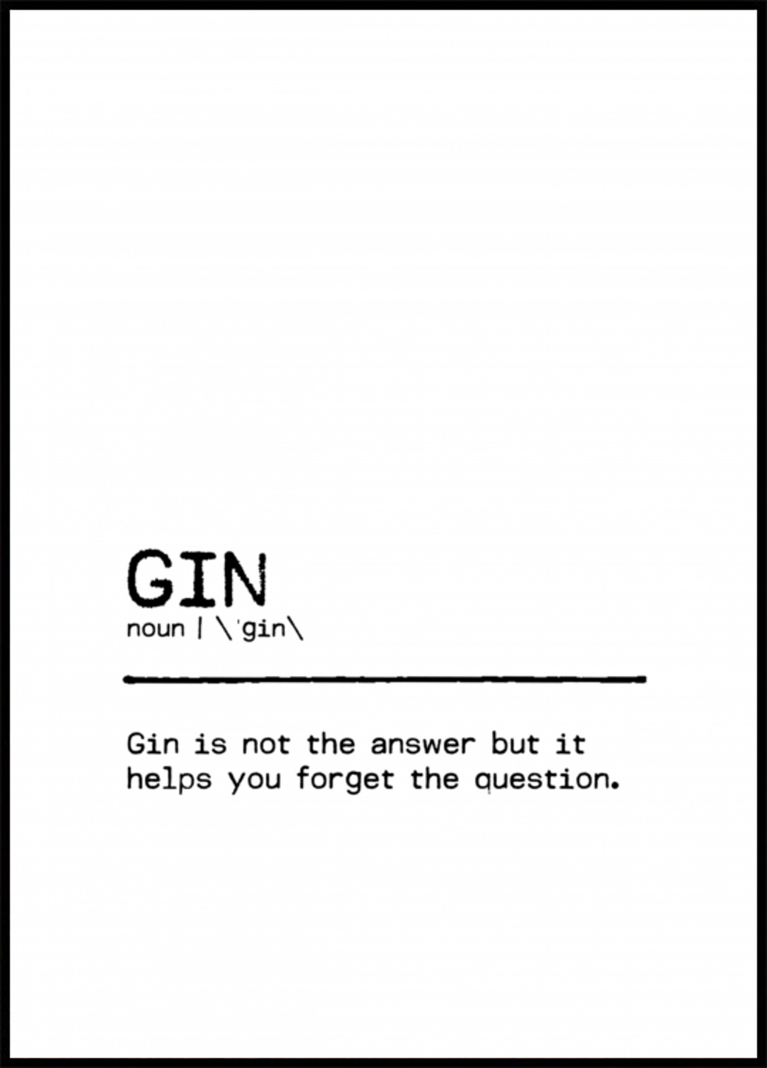 Definição de Gin Espirituoso