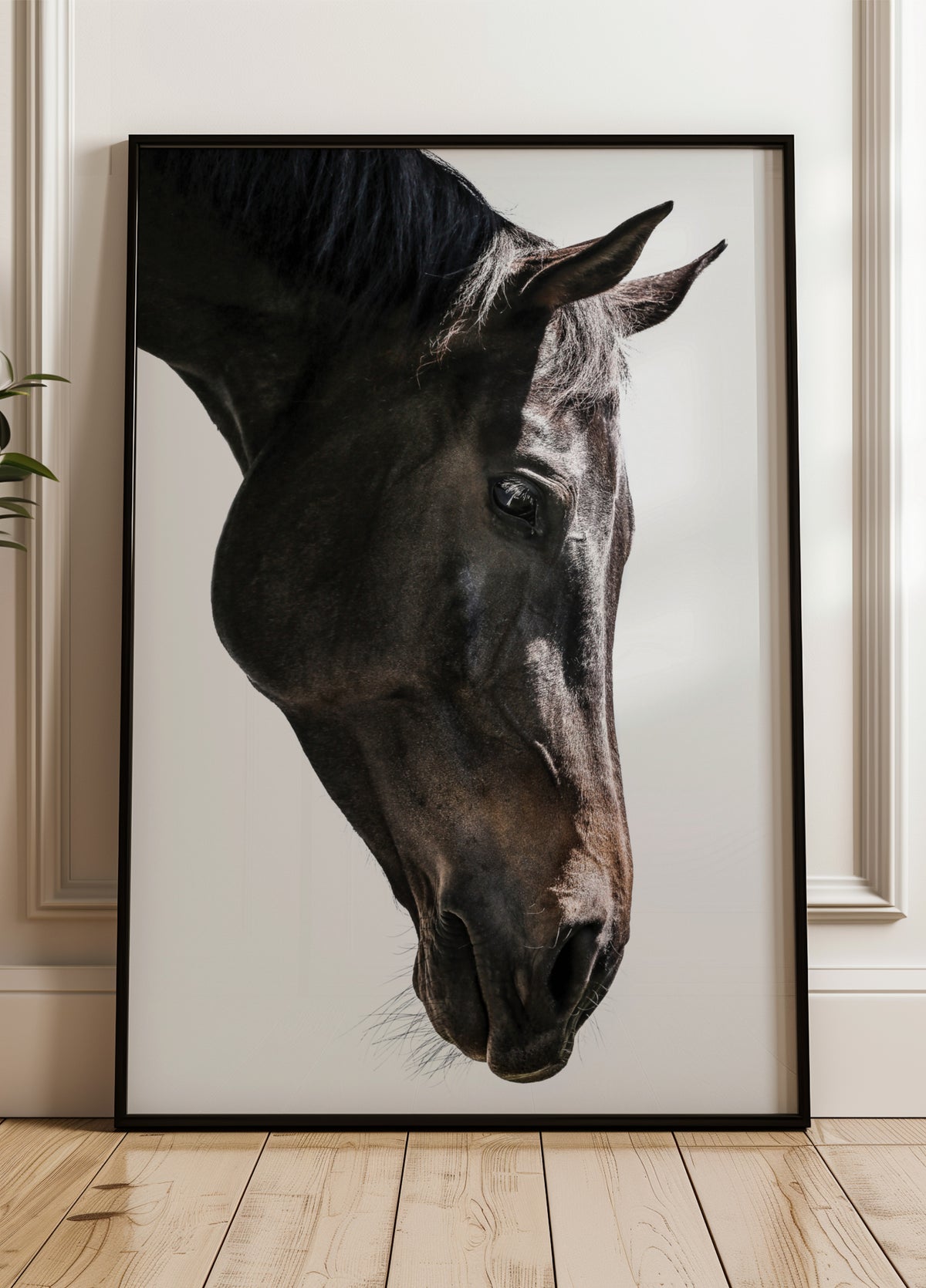 Gaze Equina Suave