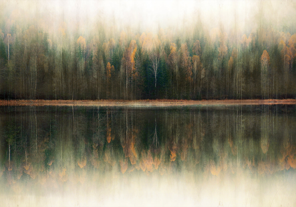 Reflection Of Autumn (NEW) - Posterbox