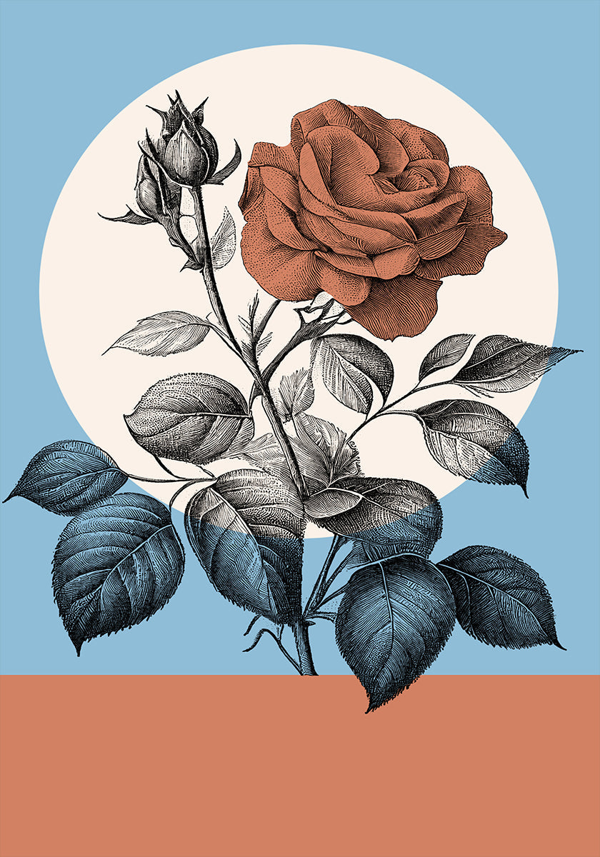 Botanical In Color (NEW) - Posterbox