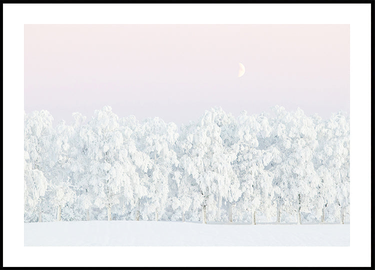 Pink winter magic Plakat - Posterbox