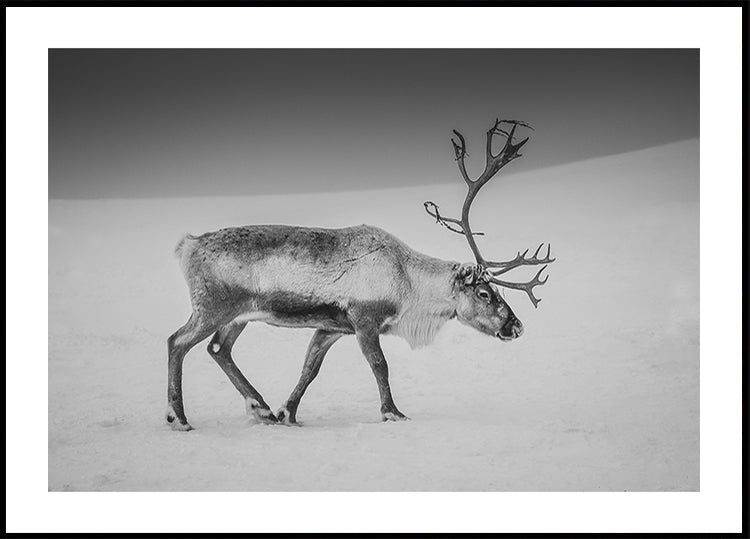 Alone in the Arctic wasteland Plakat - Posterbox