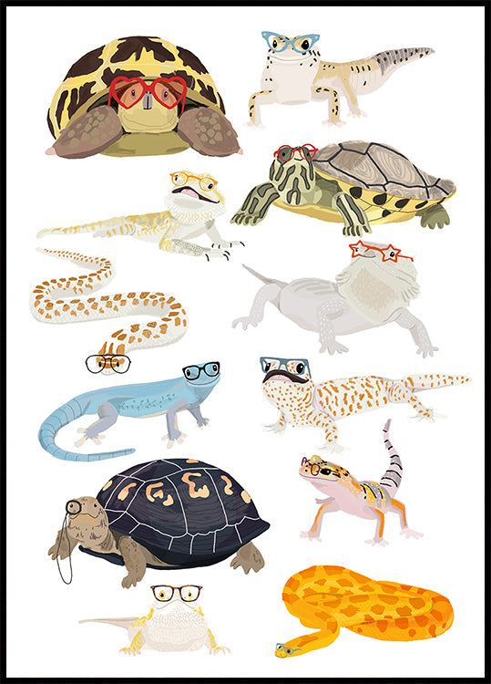 A1 Reptiles In Glasses Plakat - Posterbox