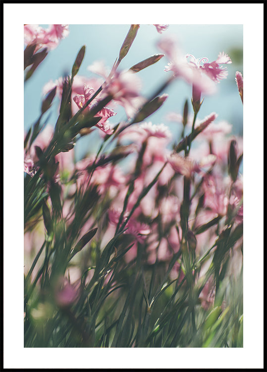 Uma vista de perto de um campo de flores rosa com hastes verdes, criando uma cena vibrante e natural.