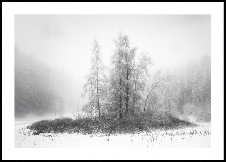 Winter in the mountain Plakat - Posterbox