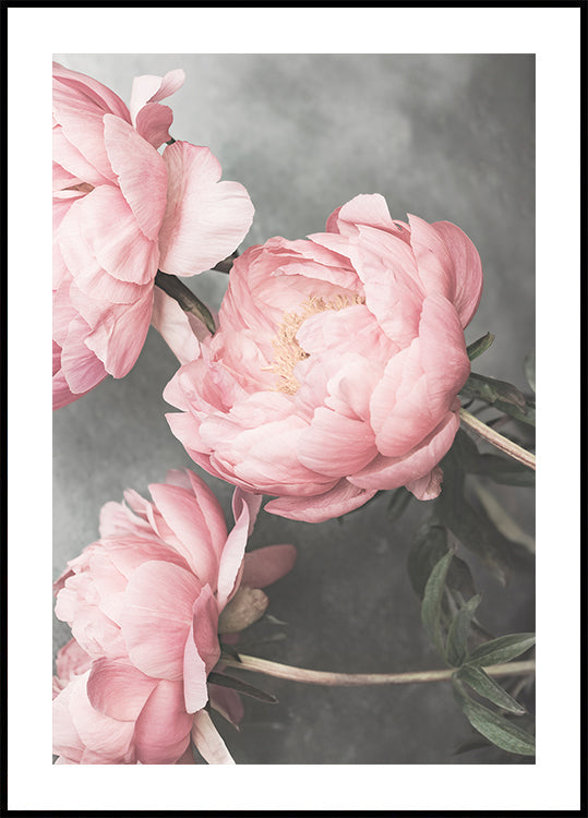 01643 Plakat - Posterbox