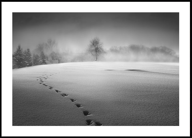 Winter scenery Plakat - Posterbox