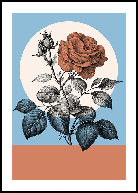 Botanical In Color (NEW) - Posterbox
