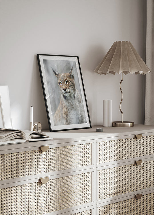 Póster Retrato do lince no nevoeiro
