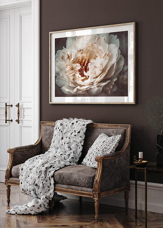 Pétalas da Serenidade