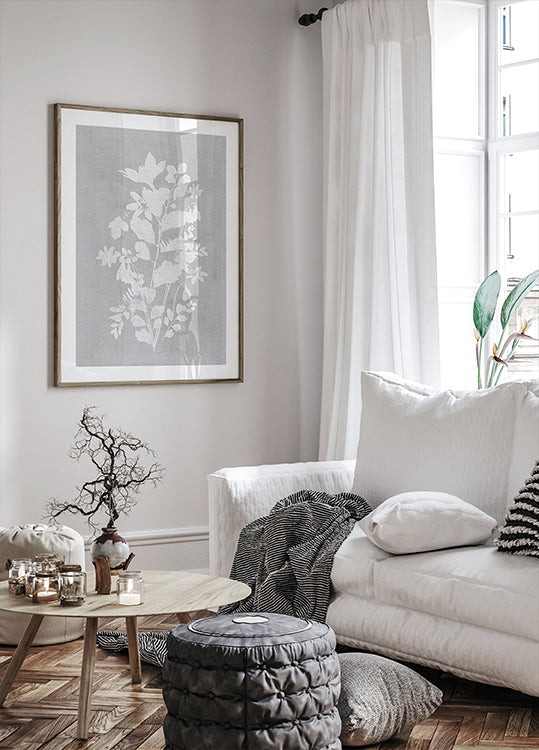 Póster Ilustração Botânica 2