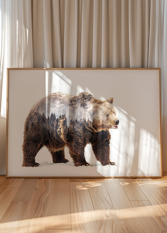 Póster Urso