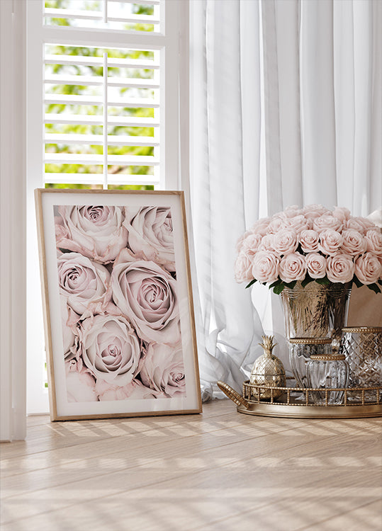 Rosas cor de rosa nº 01