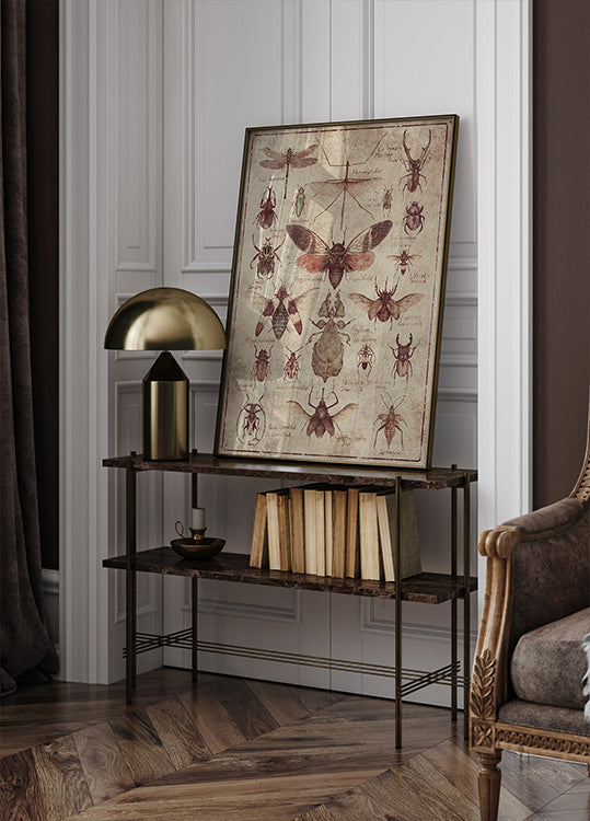 Pôster Insetos estilo vintage