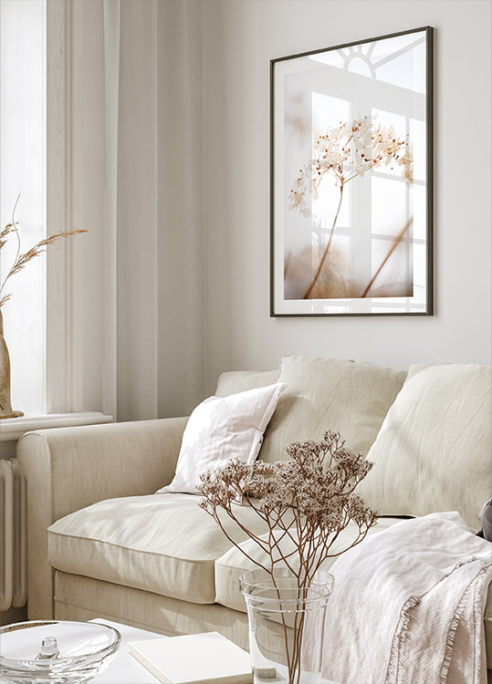 Flor macia e seca_marrom