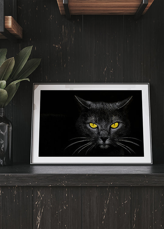 Póster Gato Preto