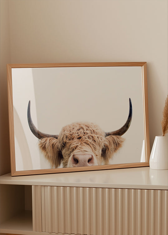 Pôster Espreitando a Vaca