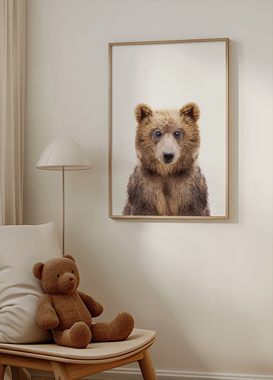 Bebê Urso