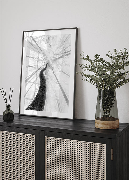 O pôster de inverno