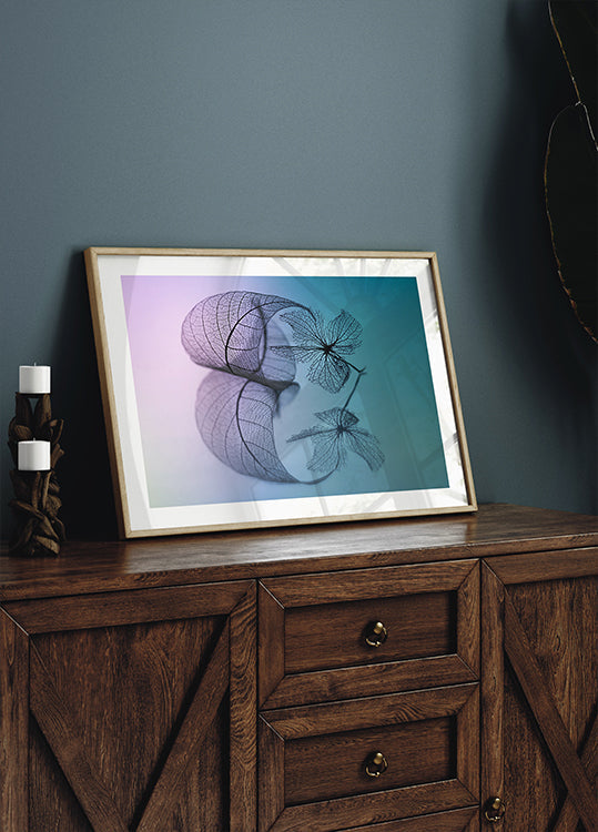 Póster História da folha e da flor