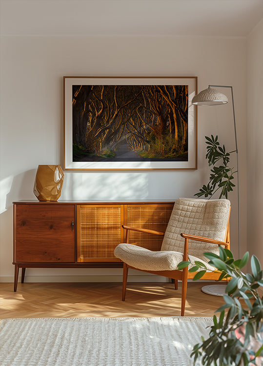 As sebes escuras ao sol da manhã