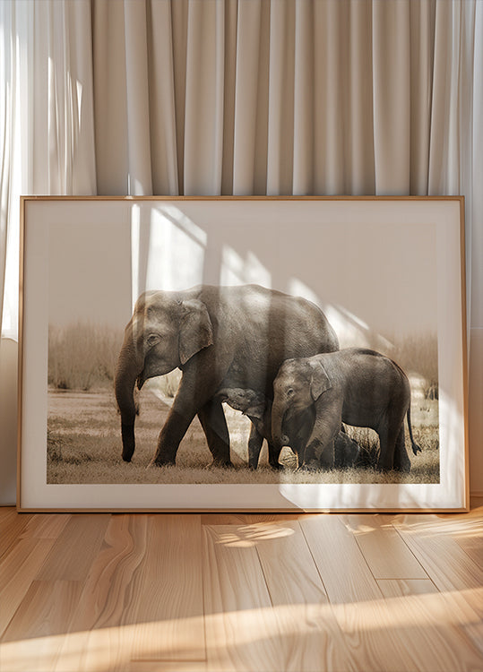 Póster retrato de família