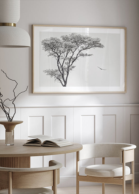 Póster Águia africana