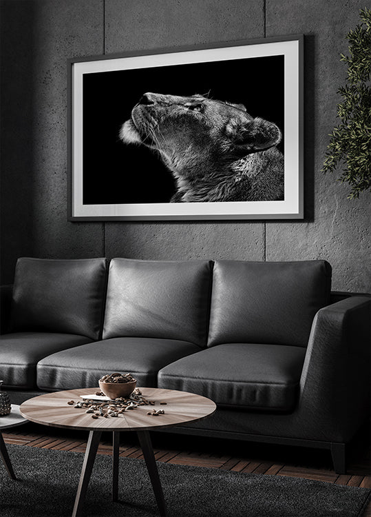 Olhando para cima pôster