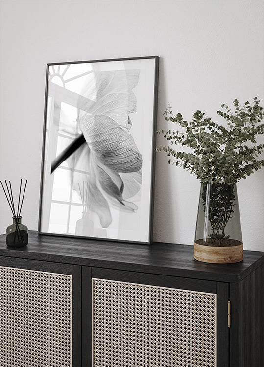 Pôster Flor desabrochando