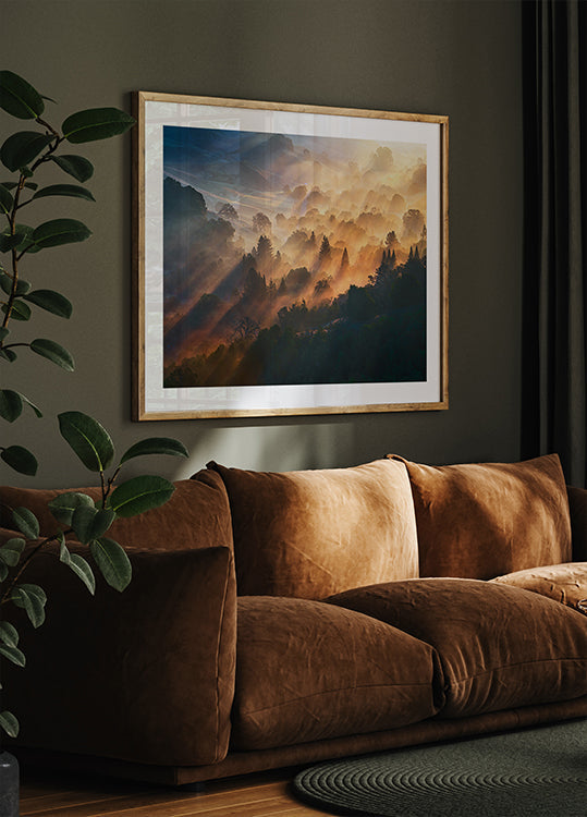 Pôster Luz da Manhã