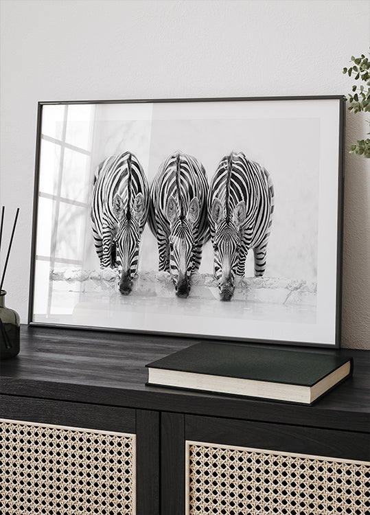 Pôster da Zebra