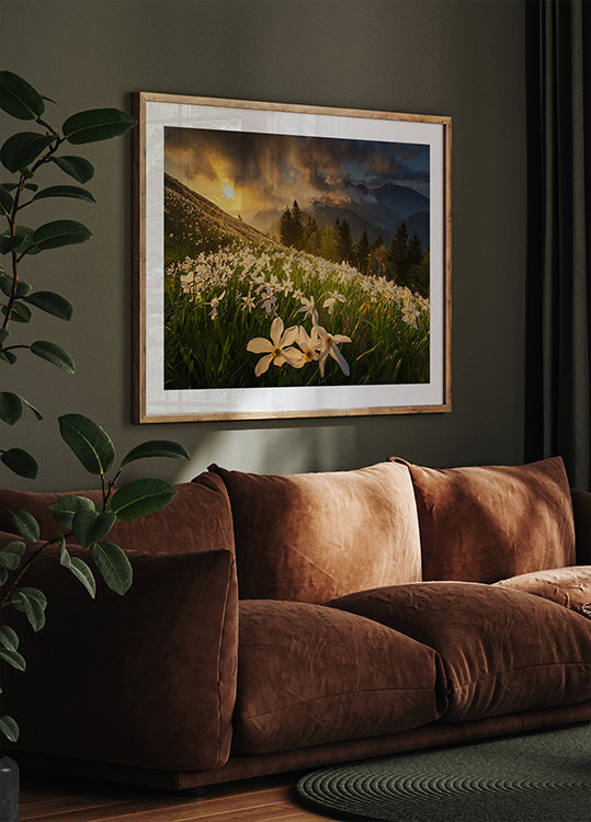 Póster tapete branco