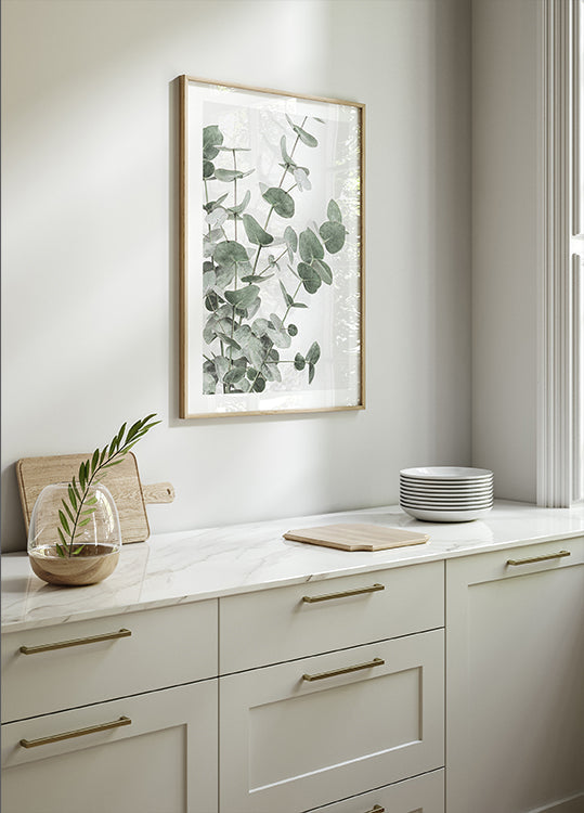 Pôster Eucalyptus_003