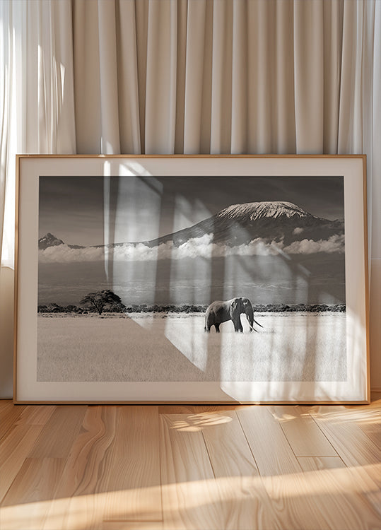 Pôster Cores Perdidas II