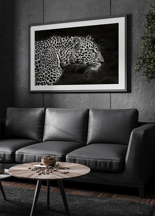Poster Close-up do leopardo
