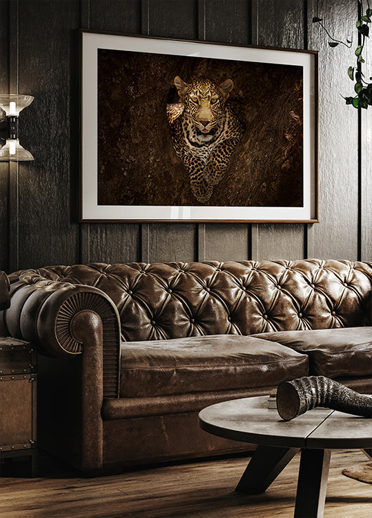 Leopardo descansando em uma árvore em Masai Mara