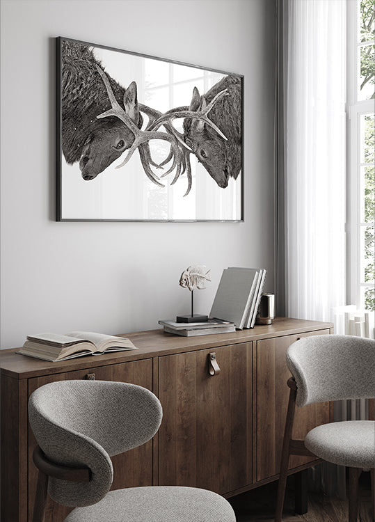 Póster Olho no olho - luta de alces