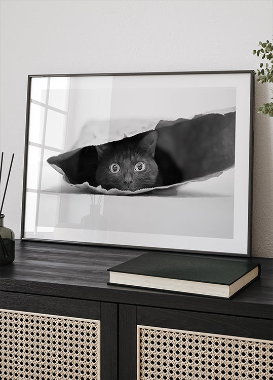 Póster Cat in a bag