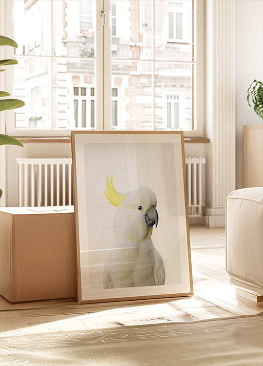 Póster Cacatua Peekaboo